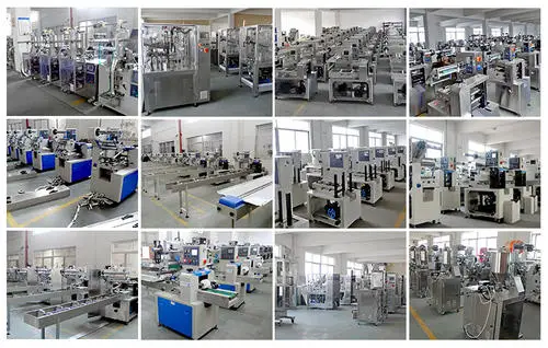 FILLING AUTO BRAND Horizontal Heat Sealing Nitrogen Gas Filling Vacuum Automatic Continuous Band Sealer Machine