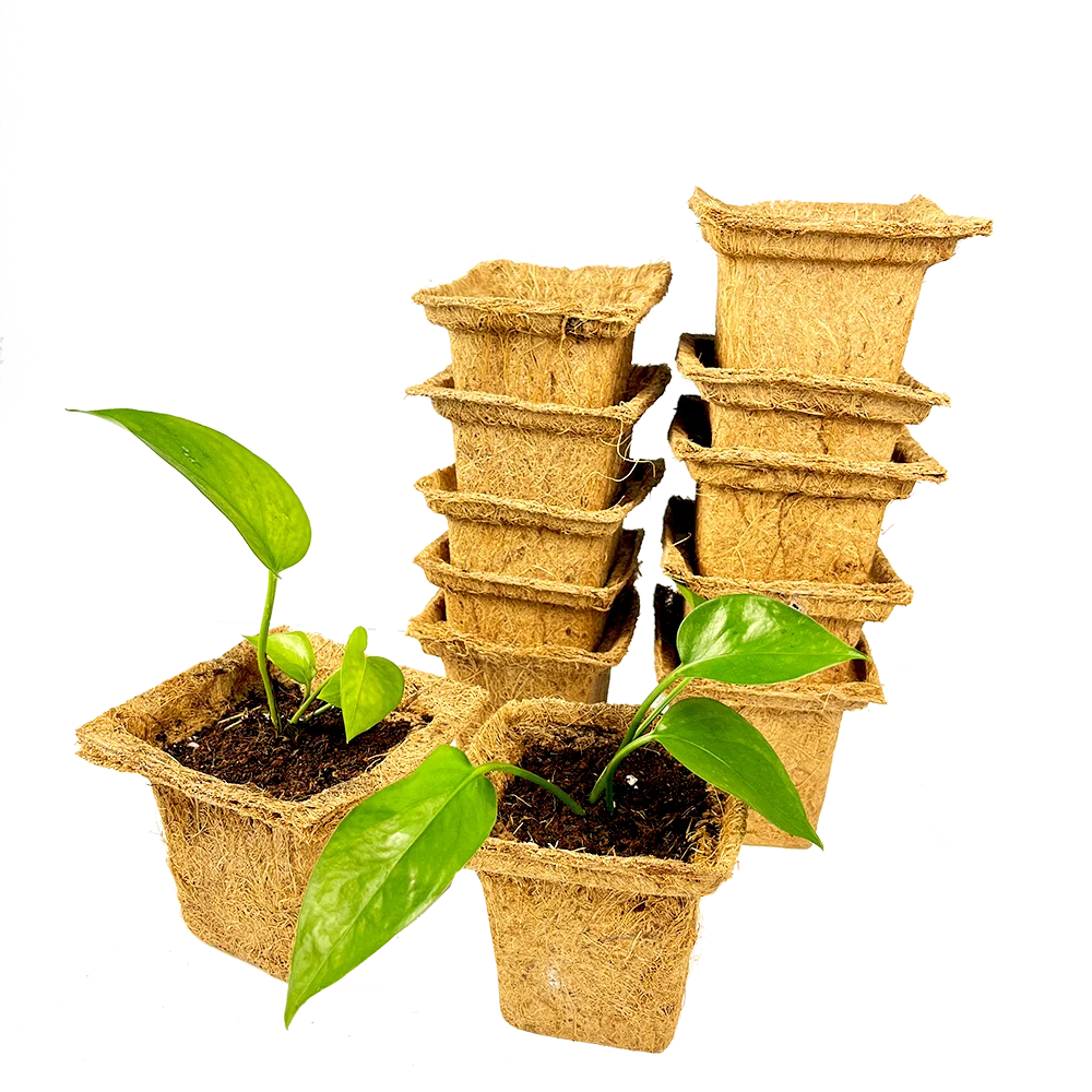the manufacture of garden tools indoor and outdoor  equipment plants coir pot