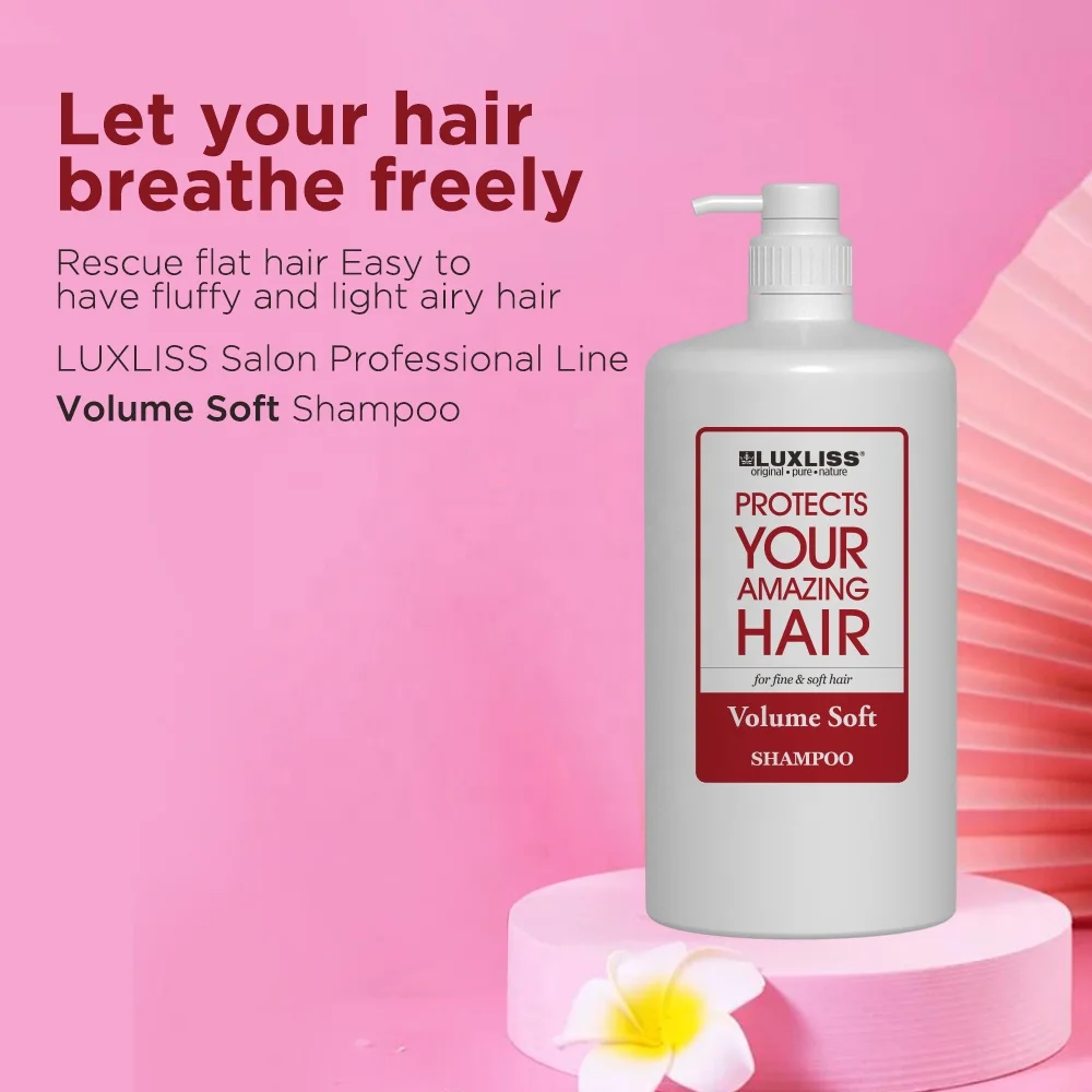 Private Label Hair Care Professional Salon 3L Natural Shampoo for Organic Argan Oil Morocco Shampoo and Conditioner