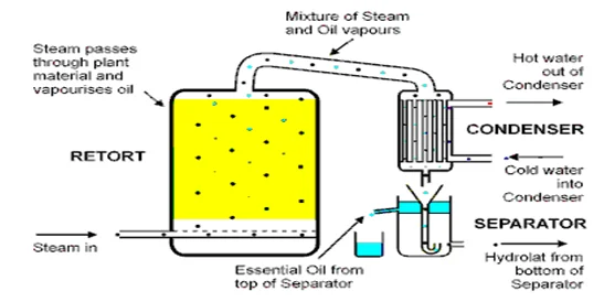 Equipment for Plant Frankincense Essential Oil Extract Machine