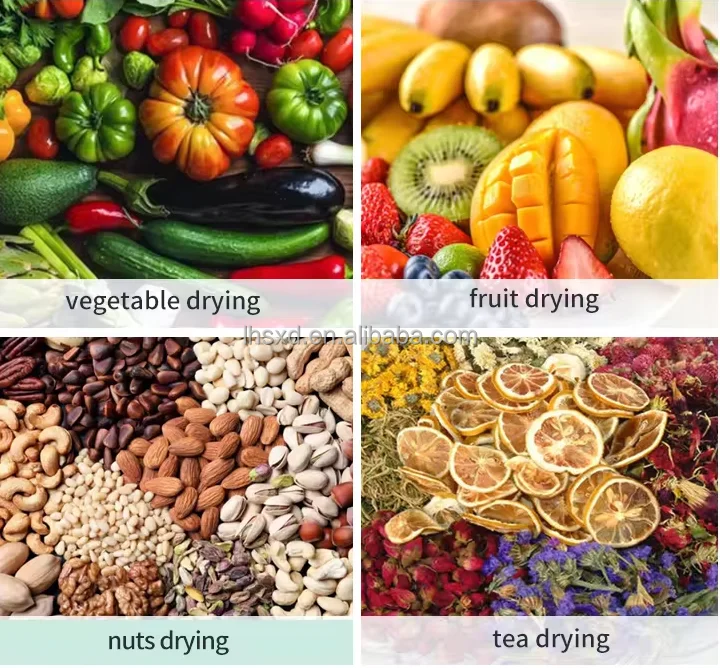 Efficient and energy-saving fruit and vegetable dryer