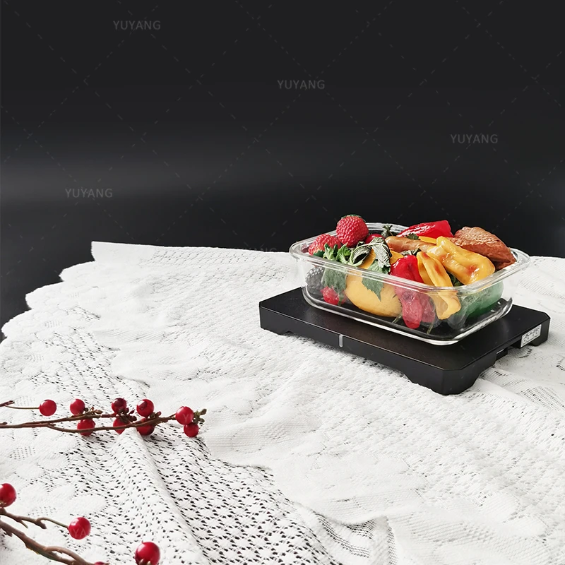 Portable Oven 12V 24V 110V Car Food Warmer Portable Mini Oven Microwave Heated Lunch Box for Cooking and Reheating Food