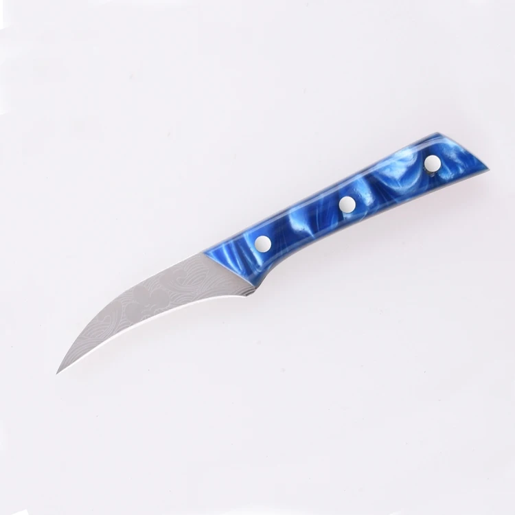 Super Quality Bird Design Fruit Paring Knife Cloud Design Blades Kitchen Beak Paring Knife