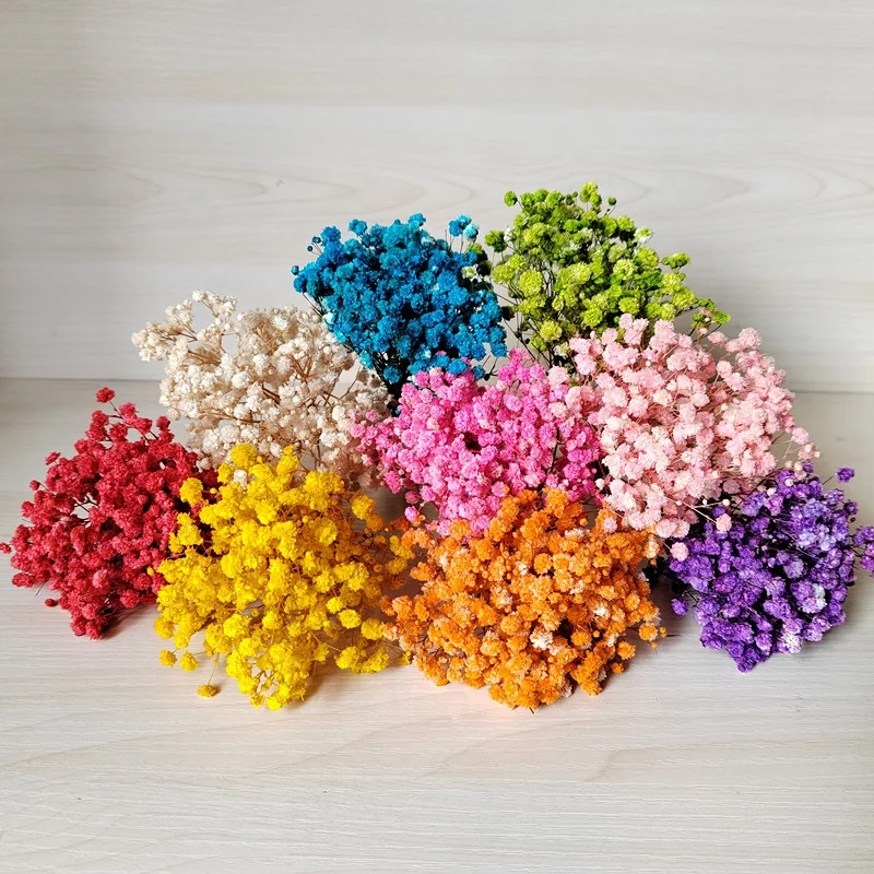 wholesale preserved Gypsophila natural dried flower bouquet mini preserved babysbreath flower bouquet for floral arrangement