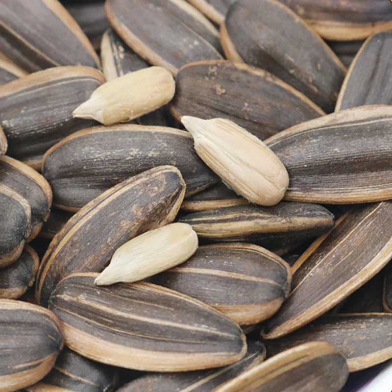 Benefit China White Sunflower Seeds Turkey,Low Price