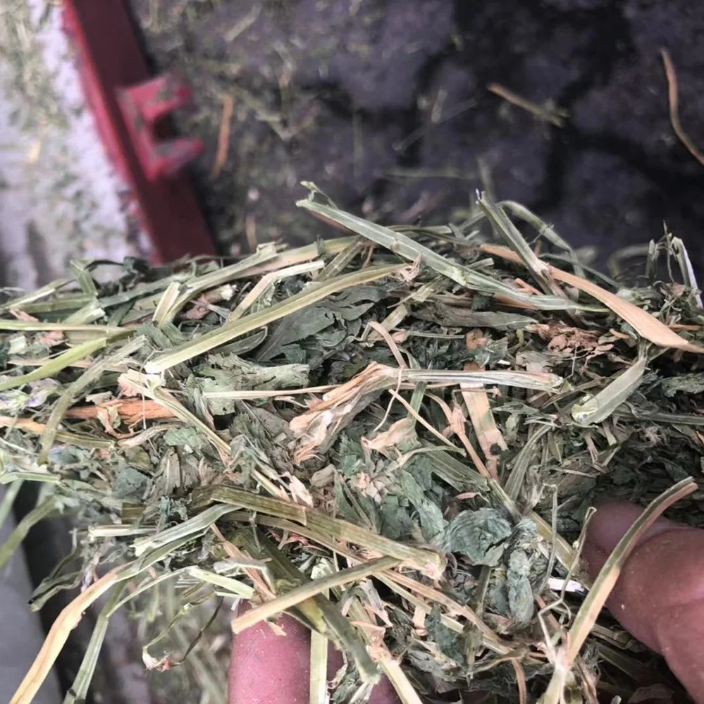  T&H high quality alfalfa