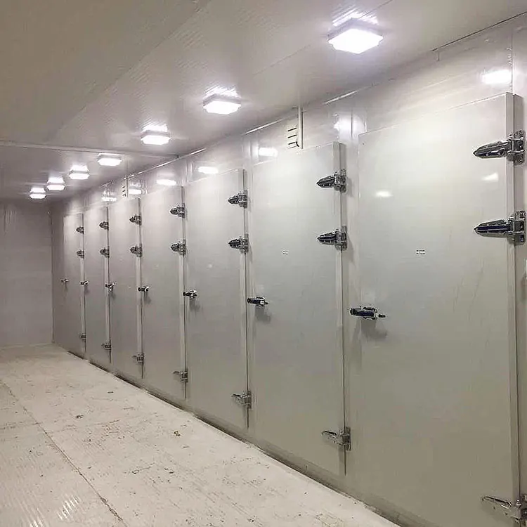 Wholesale High Quality Cold Room Lock for Fish Storage