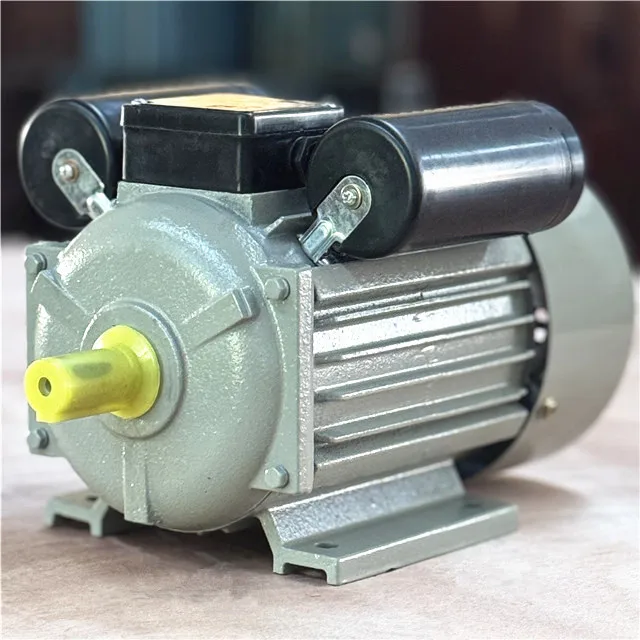 Capacitor starting single phase YC electric motor