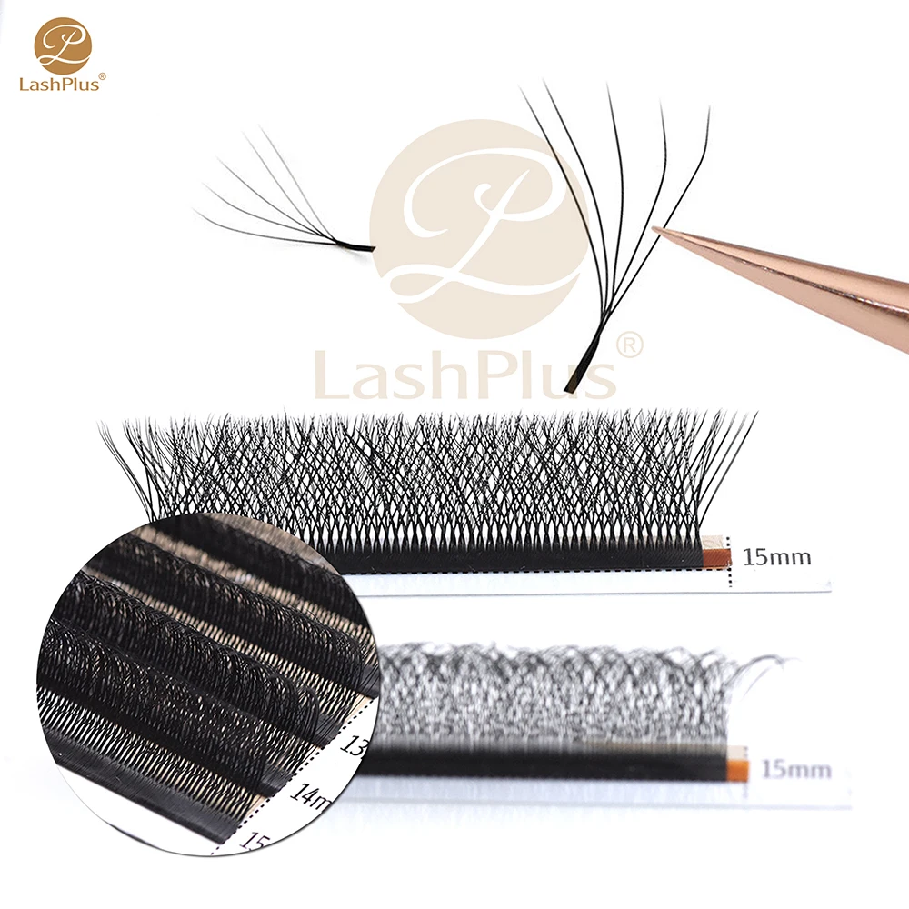 LashPlus lightweight YY W shape lashes premium Korean PBT fiber W lashes 3D Eyelash Extensions