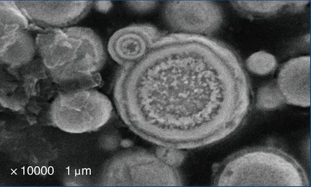 High Purity 99.5% Dendrites Structure Spherical Nano Carbonyl Iron Powder
