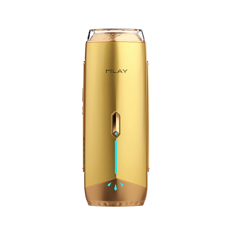 Best Home Use IPL Machine for Skin Rejuvenation Featuring Intense Pulsed Light and Beauty Equipment with Laser Lamp