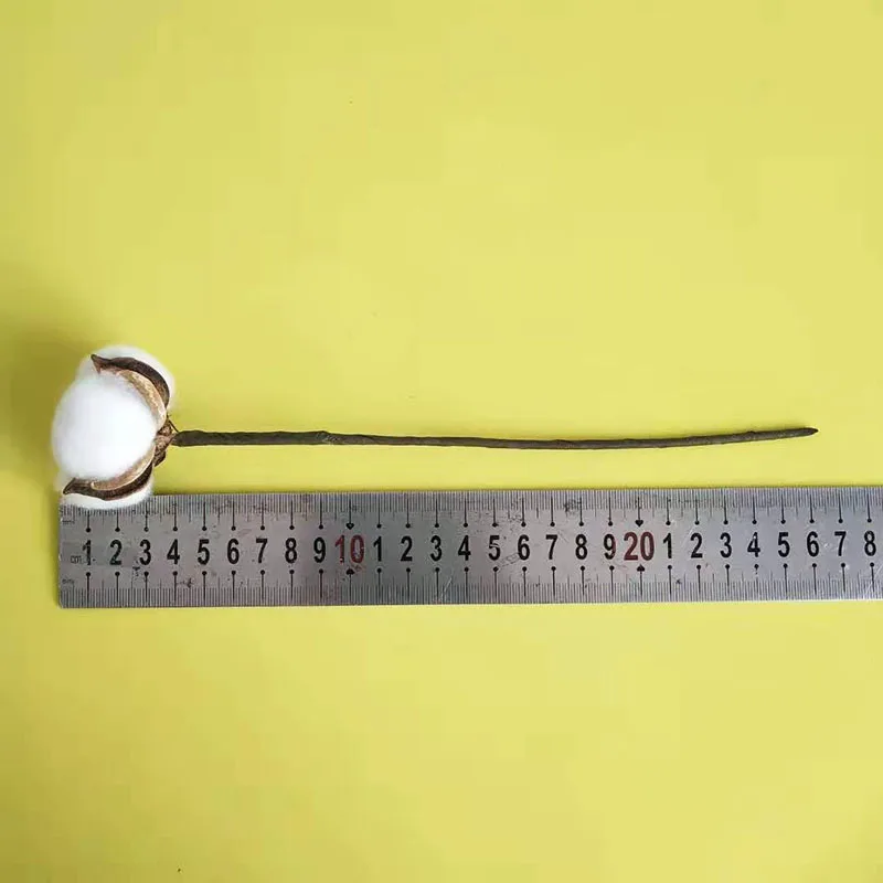 New Designs 10 branches Natural Arrangement Artificial Dried Flowers Decorative Cotton Flower Dried Cotton Flower Head