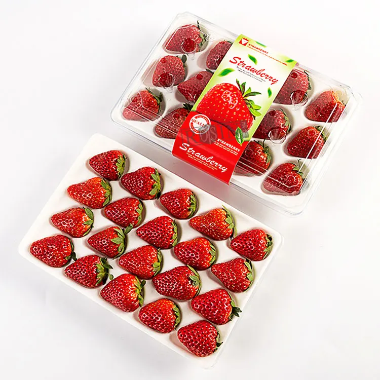 Customized food grade disposable plastic plastic pet packaging tray for strawberry containers with lids