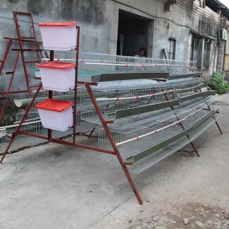 Anping factory 96 broiler hot dipped galvanized iron chicken cage