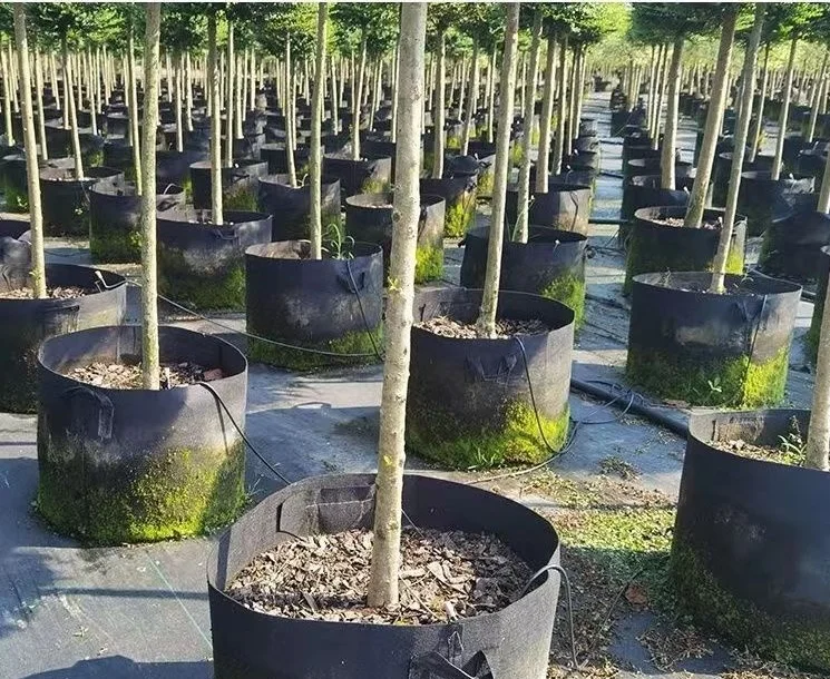 1 3 5 7 10 15 20 25 30 35 50 Gallon Felt Plant Grow Bags felt plant barrel Thickened Garden Non Woven Felt Flower Pot