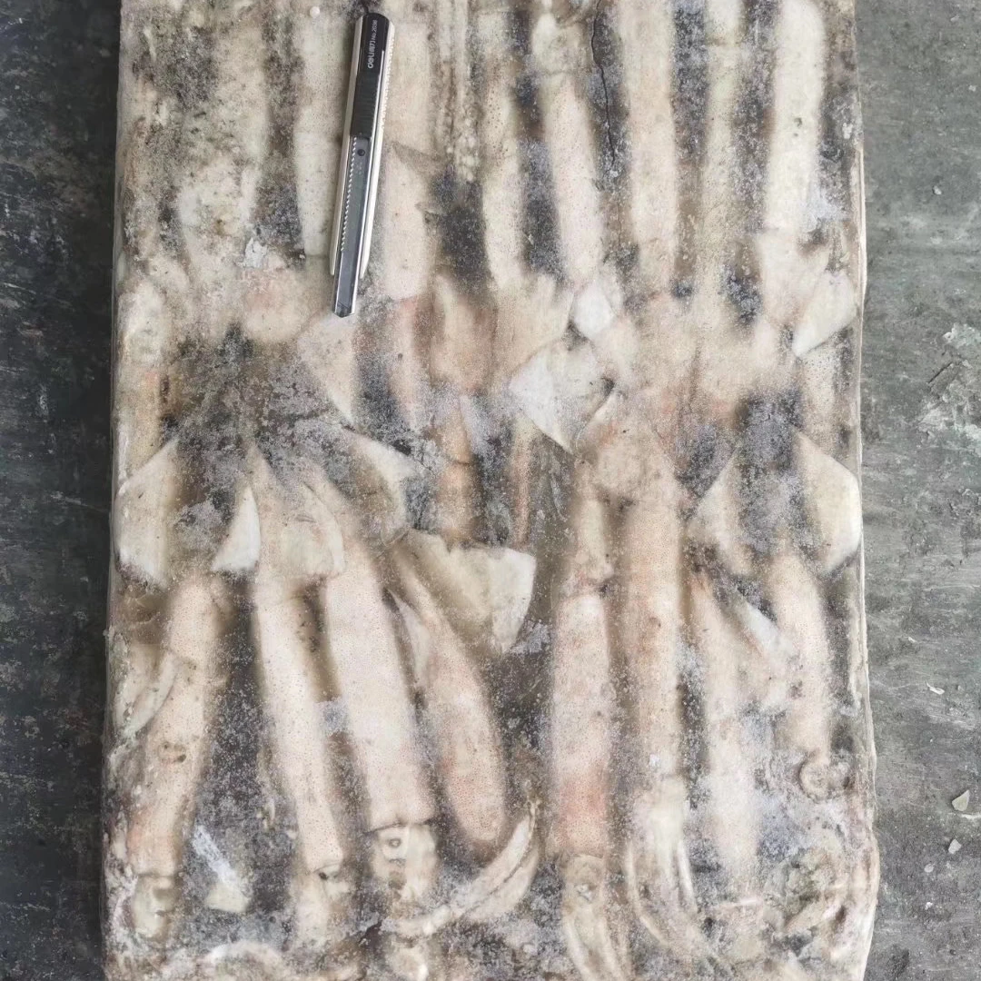 Japanese Flying Squid 20Kg Block Frozen Squid Raw Material
