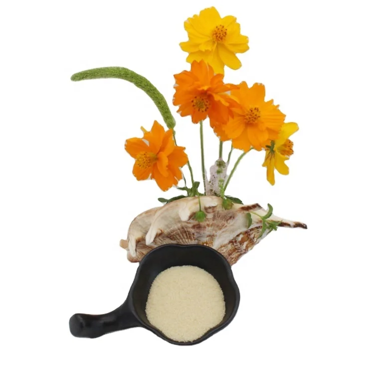 Halal Edible Bovine Gelatin Price Beef Skin Edible Gelatin Halal 160 180 220 Bloom Bulk Gelatin