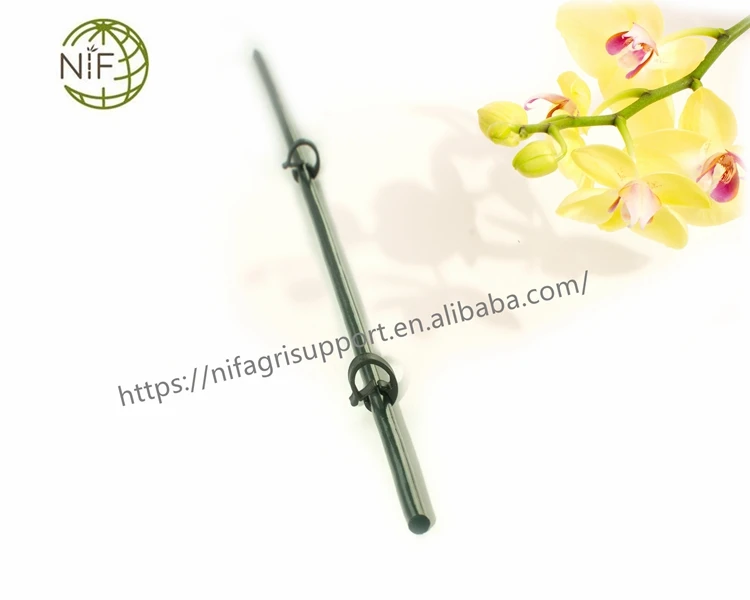 Attractive price new type bamboo sticks with clips for orchid plant support