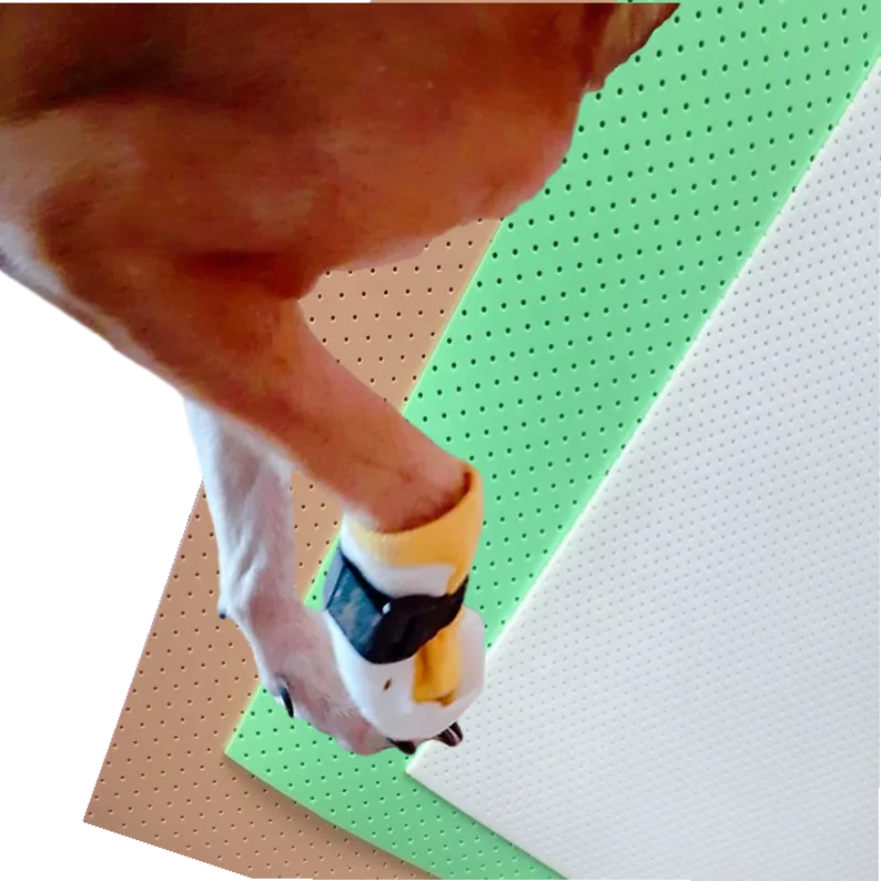 Low Temperature Thermoplastic Splinting Solutions Pet Dog Cat Leg Fracture Rehabilitation Orthopedics Cervical Collar