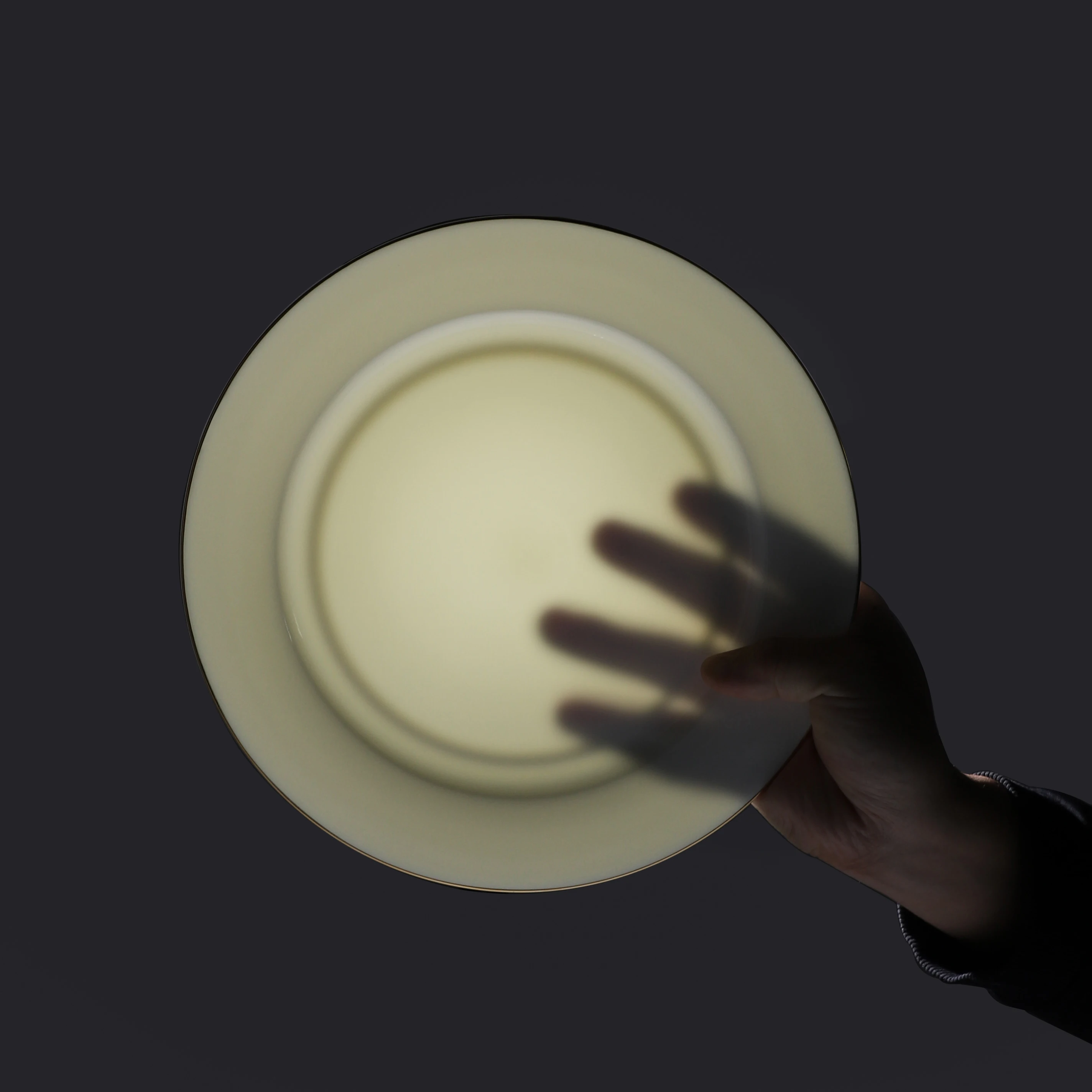 P&T Horeca Customized dinner ware gold rim dinner plates for hotel purpose fine bone china personalized ceramic plates