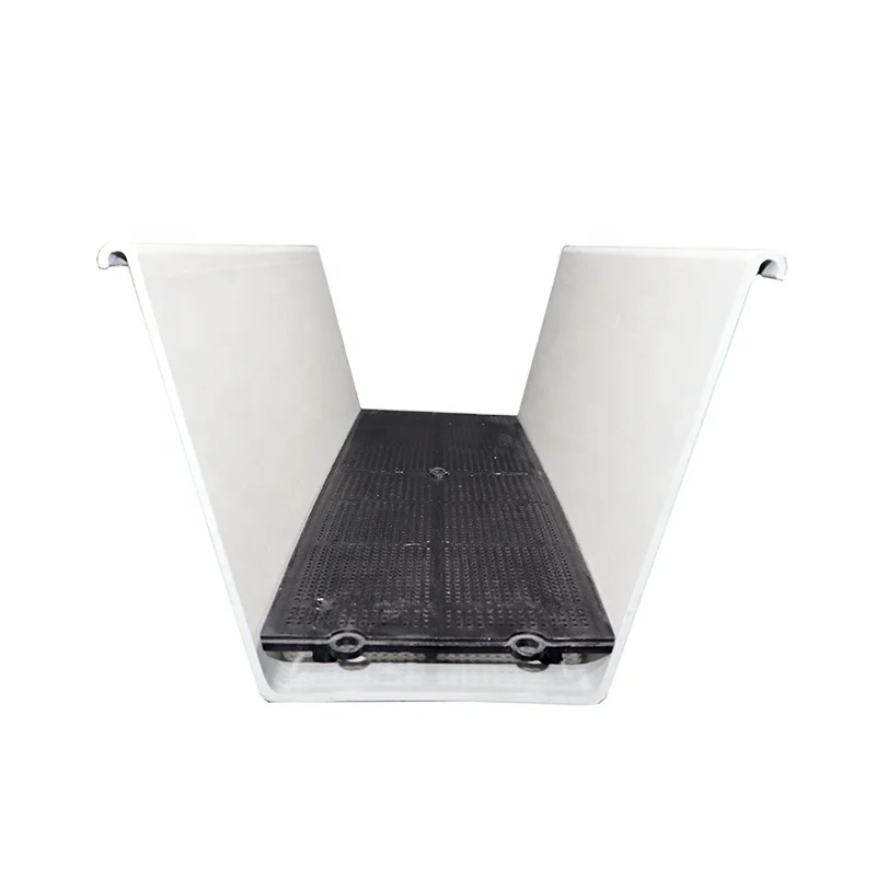 Customized Strawberry Soilless Cultivation System in Agricultural Greenhouse