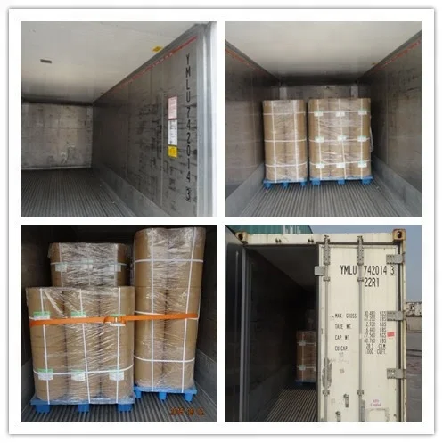 Industrial Grade Alkaline Protease Enzyme