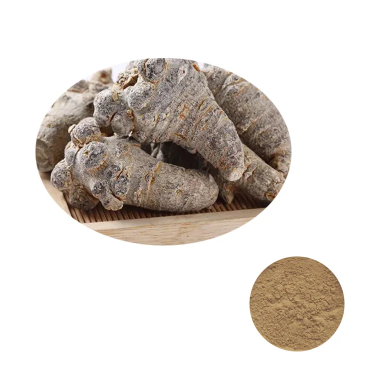Factory Sale Various Widely Used Sanchi Panax Notoginseng Root Extract