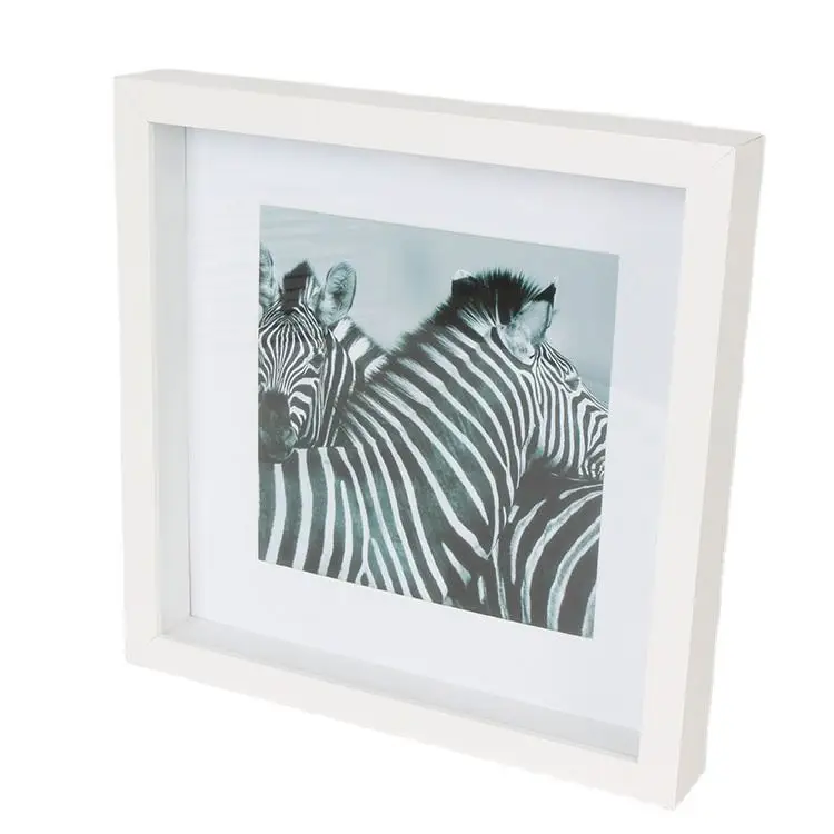 2 Ways Display White Mat Change front or back -Shadow box frames display Case wholesale-Amazon Best Seller Shadow box