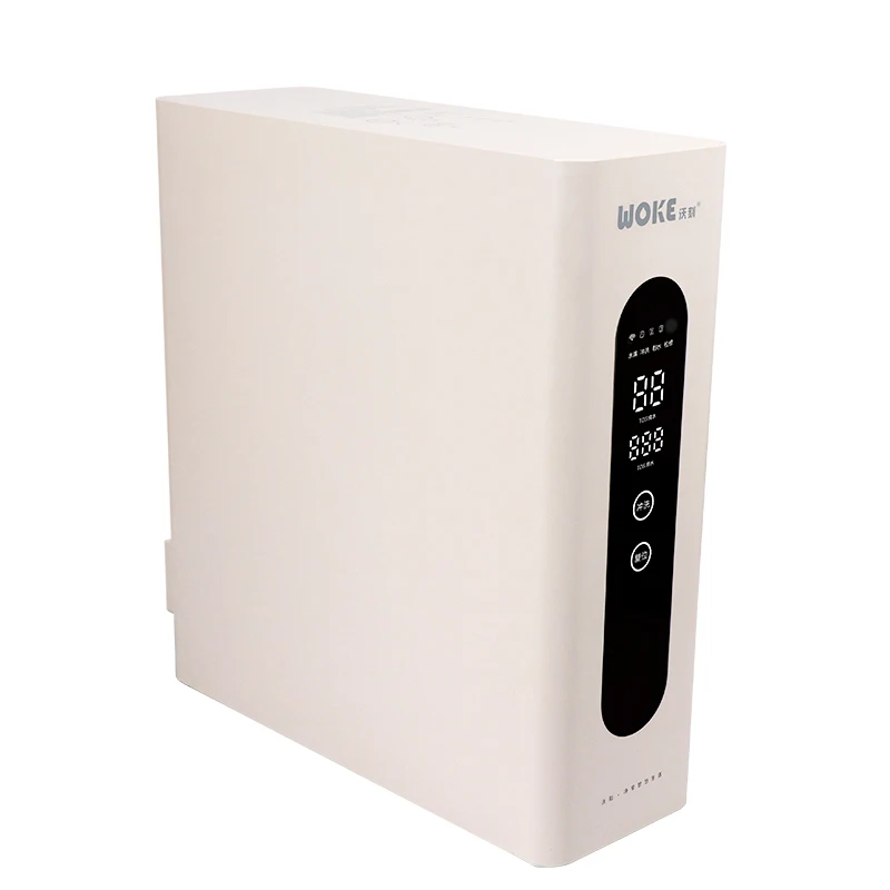 Home Undersink Water Purifier RO Reverse Osmosis Pure Water Nano Bubble Oxygenated Water Undersink Filter Smart RO Purifier