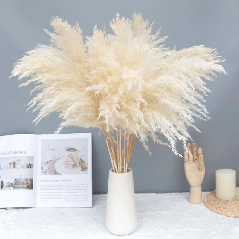Wholesale Decorative Vase Pampas Grass Flower Arrangement Xiaochai Reed Dried Flowers