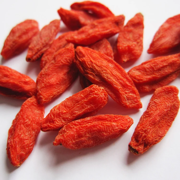 Hot Sale Ningxia High Quality Goji berry