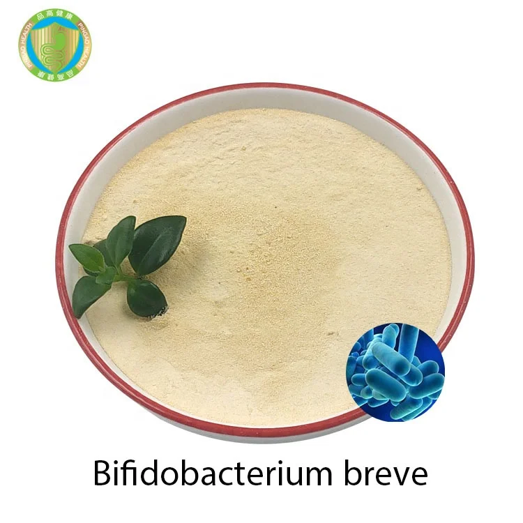 High Quality Enhance Human Immunity Factory Supply Bifidobacterium Breve Probiotics Powder