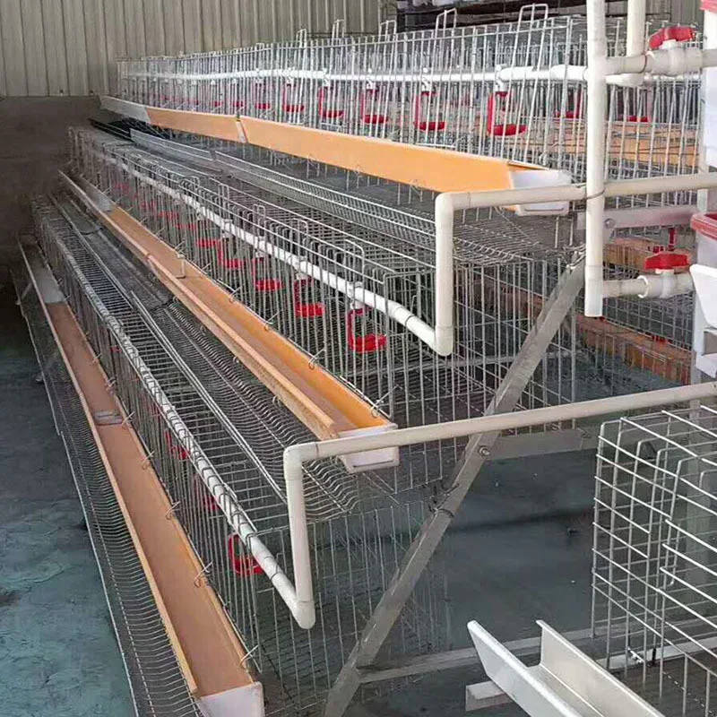 Automatic Galvanized Farm Equipment Livestock Poultry Broiler Chicken Battery Laying Cage with Manure System