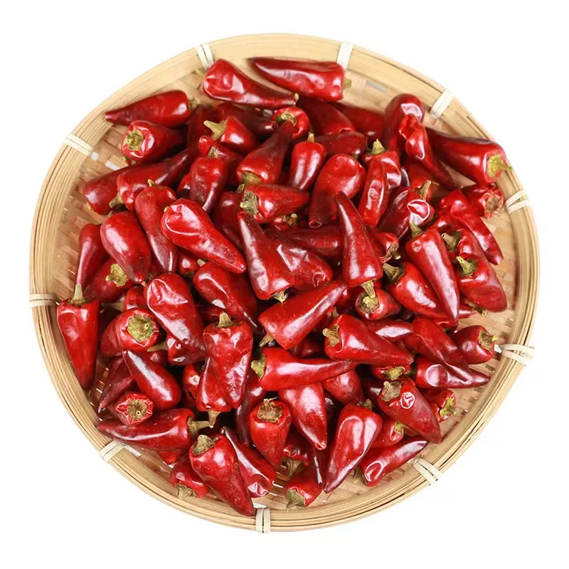 Guizhou bullet chili fresh and medium spicy dried chili pepper