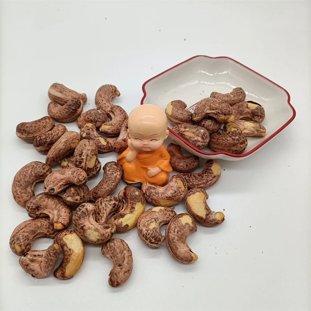 High Quality Raw Cashew Nuts with Best Price