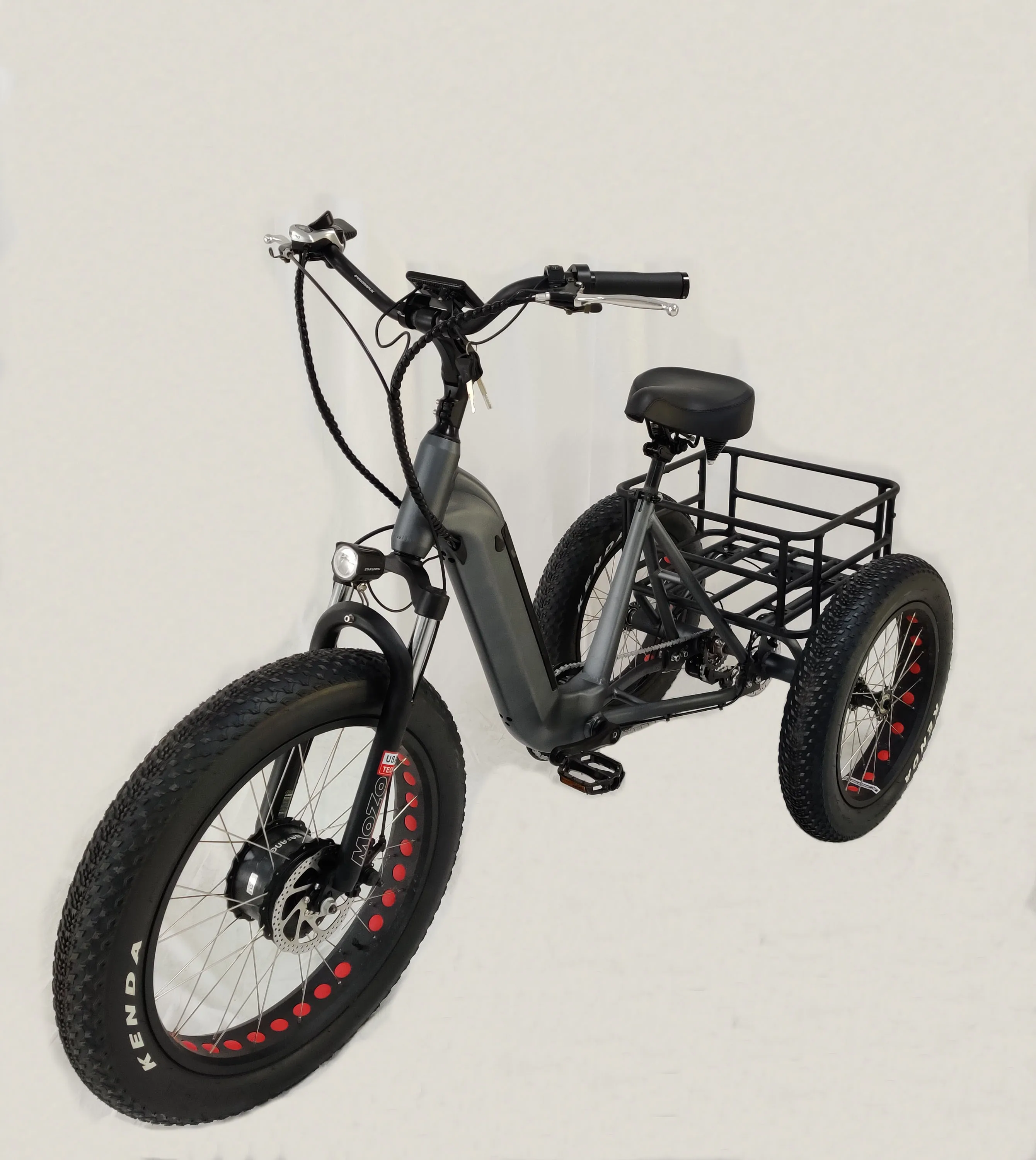 
PETRIGO 3 Wheel Aluminum Alloy 25km/h Fat Tire Electric Cargo Trike Motorcycle Adult Tricycle Sell 