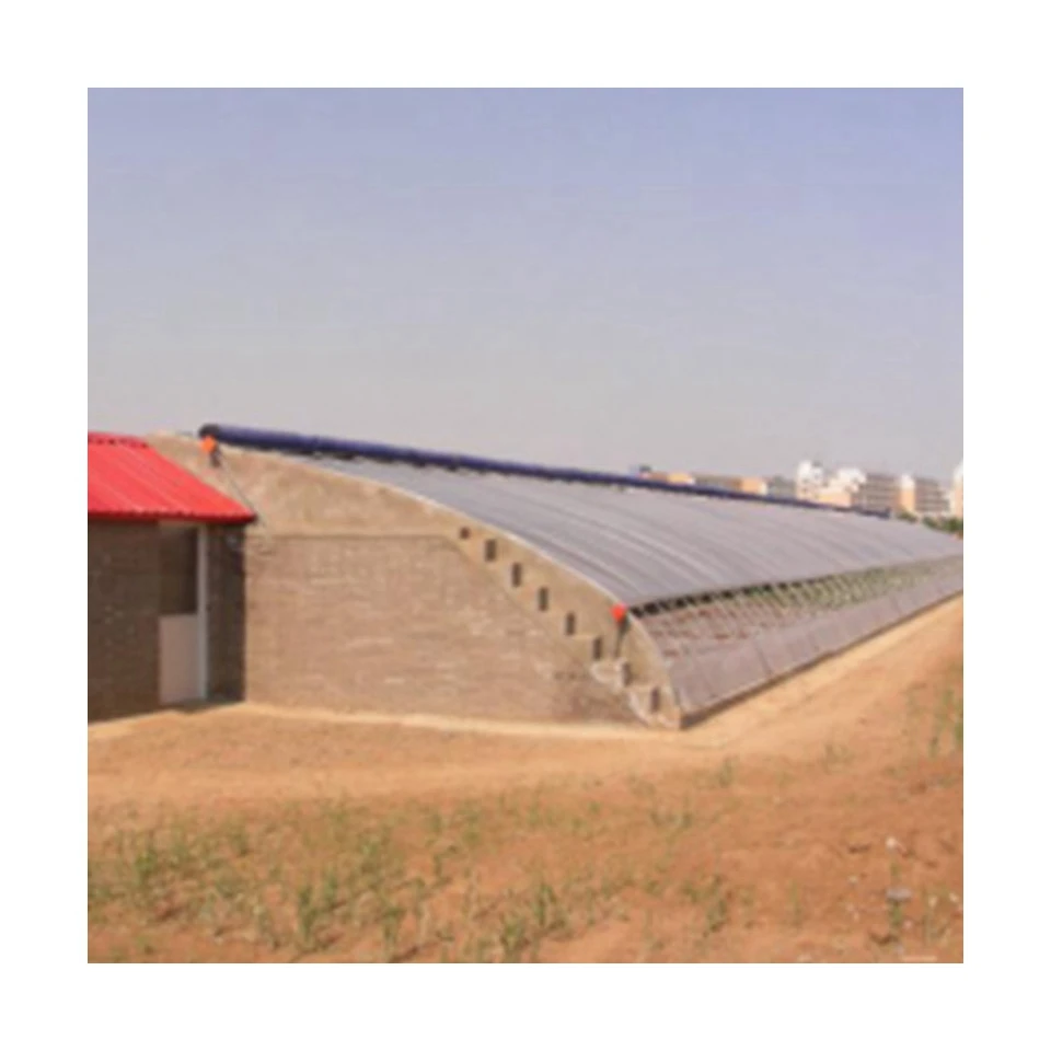 Promotional various  in-solar greenhouses agricultural greenhouses green house greenhouse