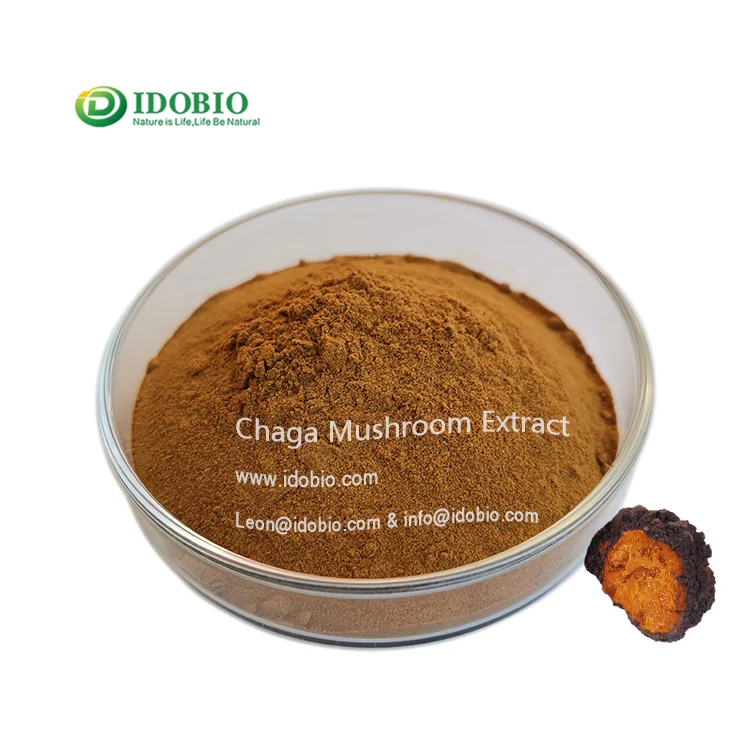 
Immunity enhancing wild siberian chaga/chaga extract polysaccharides 