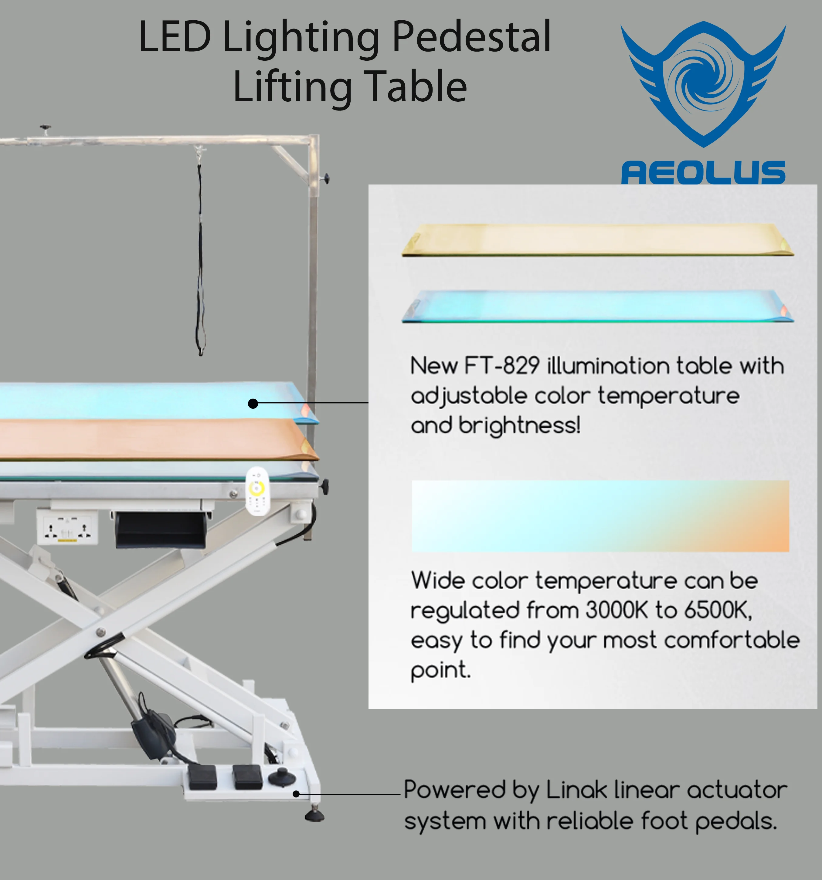 Aeolus High quality LED Lighting Electric lift pet dog beauty grooming table Illumination grooming table
