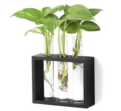 Wholesale Black Wall Hanging Glass Planter Plant Terrarium Modern Flower Bud Vase