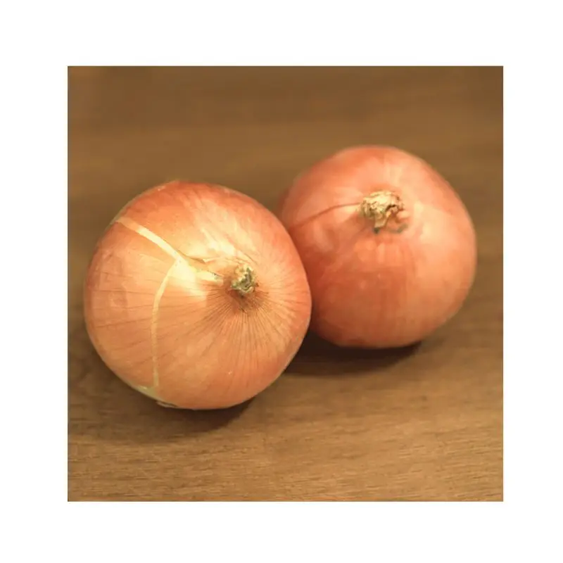 
2021 High Quality in Bulk Exporter Of Onion From India with International Certification 