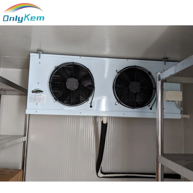 walk in blast freezer room for fish beef chicken