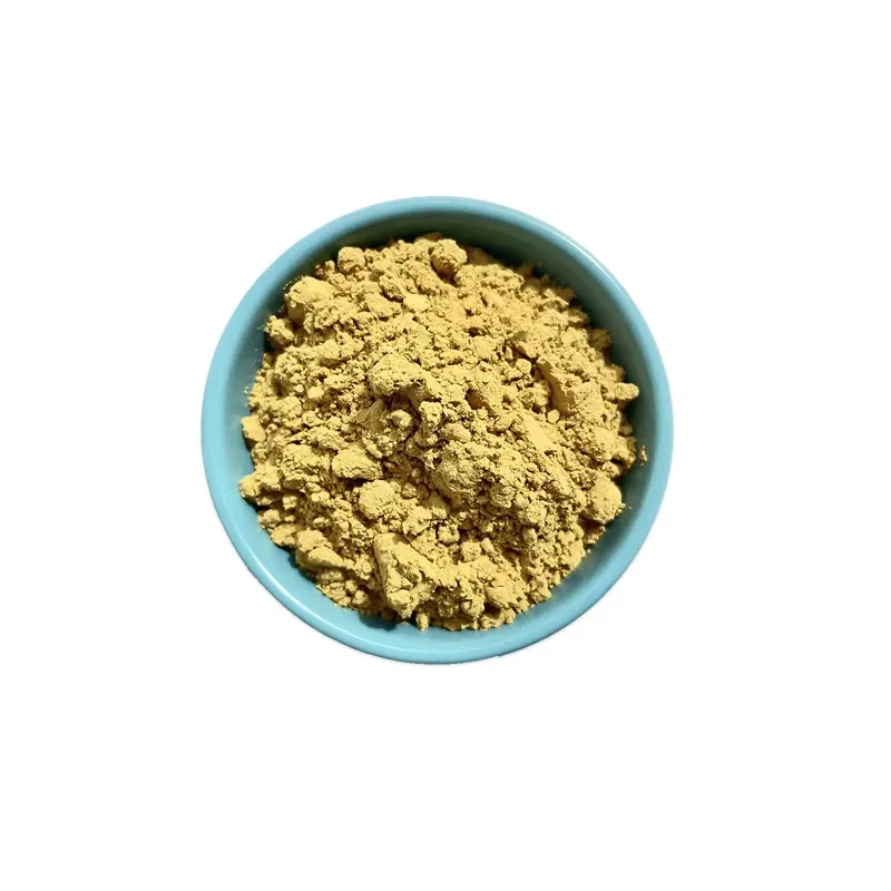 In Bulk Cactus Fruit Powder 100% Natrual cereus cactus extract cactus extract