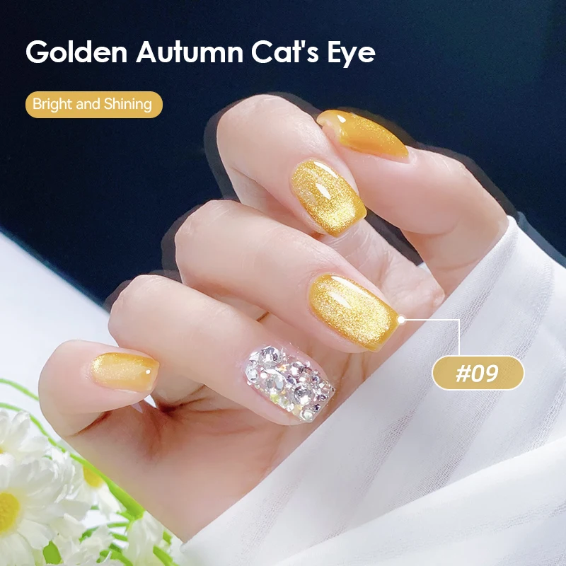 Vinimay New Arrival Autumn Cat Eye Gel Nail Polish Set 12 Colors Nail Gel Polish