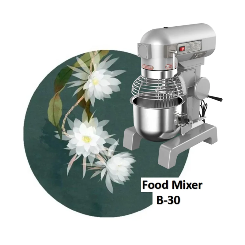 
2019 Newest B Series 20L 30L 40L 50L 60L Food Industrial Home Use Commercial Kitchen Spiral Planetary Dough Food Mixer 