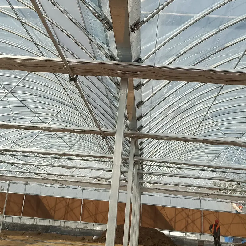 high quality big span garden multispan greenhouses for sale made in China