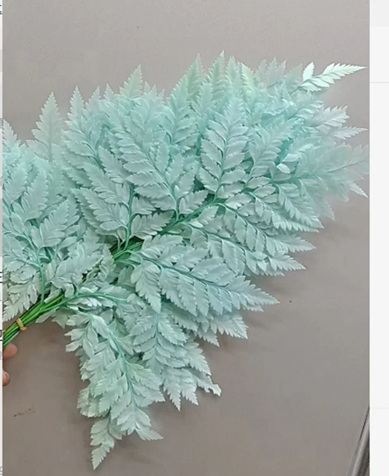 High Quality  Real Preserved Flower Natural Dried Fern Leaf  Dried Flowers For Decoration