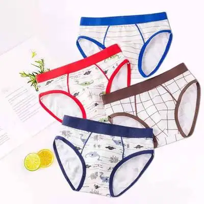 
Fit for 8-40kg Eco-freindly Printing Cotton Boys Bikini Briefs High Quality Kids Underwear 