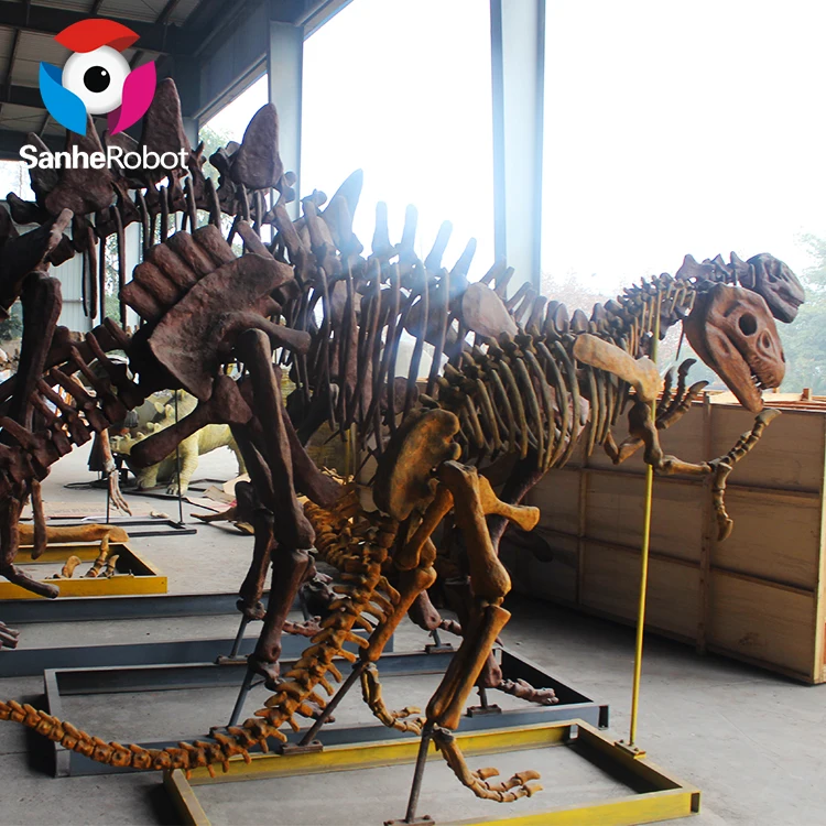 Музей скелета динозавра Юрского периода король T-rex окаменелости динозавр тираннозавр рекс череп копия для продажи