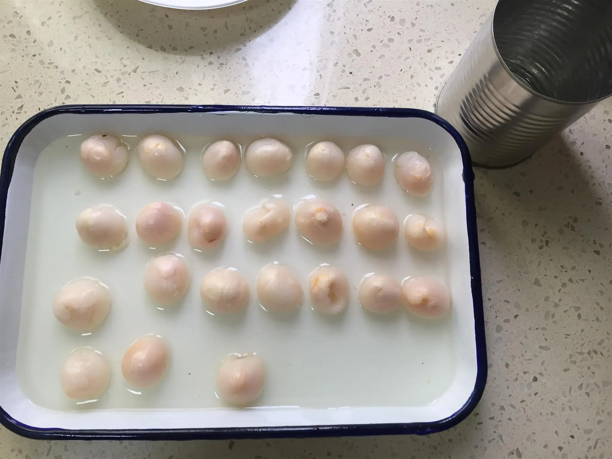 canned lychees  fruits in syrup 567g/800g/2840g